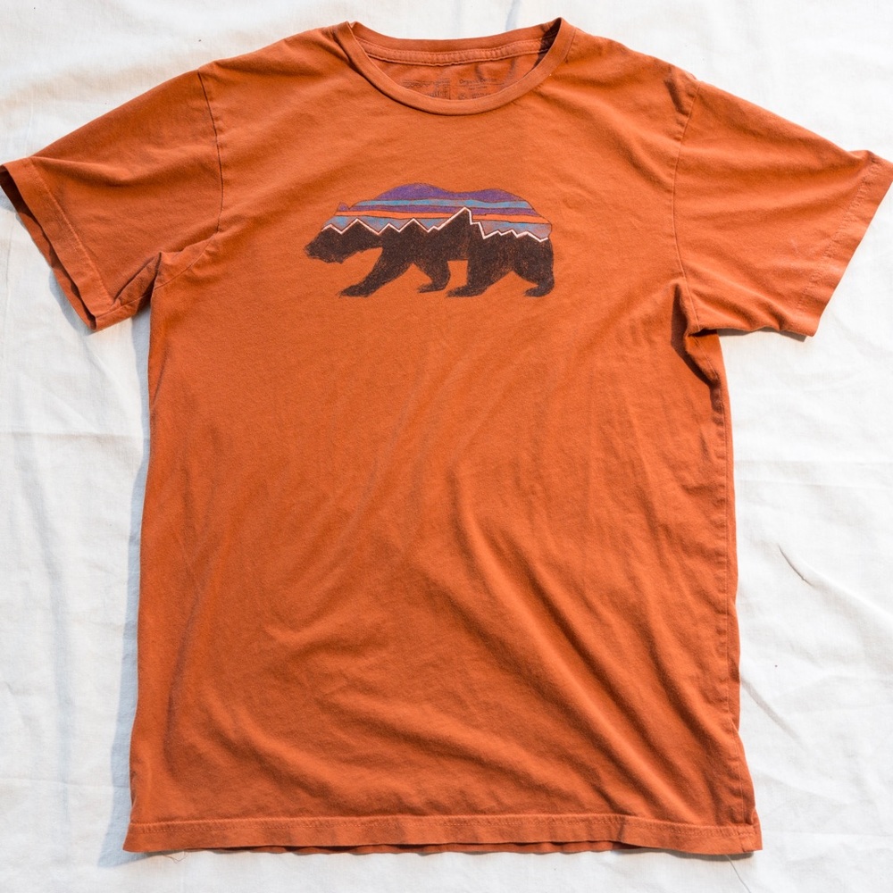 Patagonia T-shirt